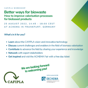 Read more about the article CAFIPLA Stakeholder workshop