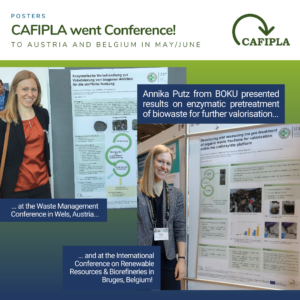 Read more about the article CAFIPLA went Conference
