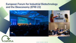 Read more about the article CAFIPLA going to EFIB 2022