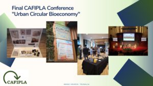 Read more about the article Recap: CAFIPLA Conference